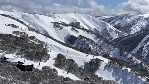 Hotham, looking at its best on Sunday homering