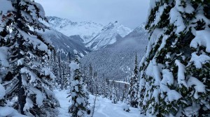 The  Rogers Pass nbacnmoutyr near Revelstoke earlier this week. Photo: TJ Balon