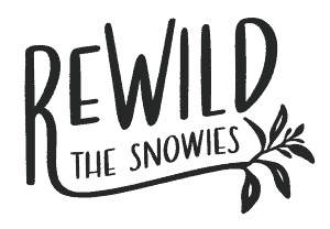 We Are Explorers is Crowdfunding To Plant 6000 Native Trees in The Snowy Mountains
