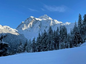 The Cascades have been getting hammered all winter and Mt Baker, pictured here on Jan 7 after receiving 254cms in the first week of January  is topic g the count for snow this winter.