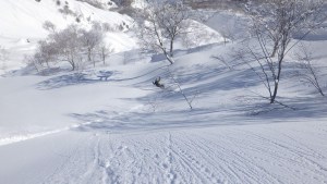 The Hakuba backcountry looking enticing after last week's snowfall. Th eweathe has closed in and it is dumbing again today. Photo: hakubavalley.com