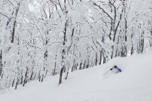 Drew Jolowizc deep in the trees at Ani last February. Picture: Dylan Robinson