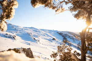 Thredbo has received gold certification from EarthCheck