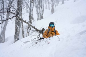 Myoko Kogen Showcase Live Video - Saturday the 13th of March at 4pm AEDT