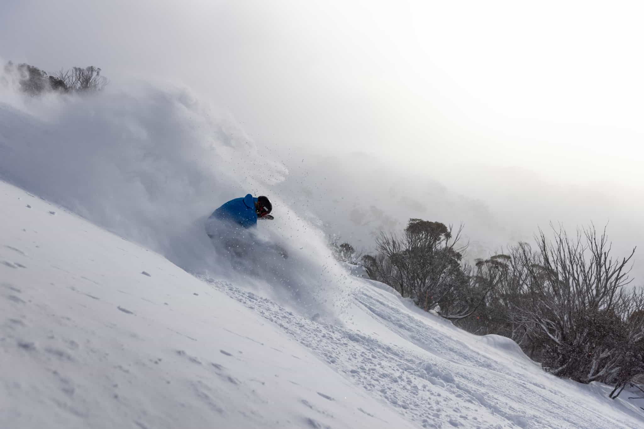 Australian Snow Season Outlook, July Update Dare To Dream Mountainwatch