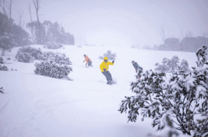 Riding the storm inThredbo today after 10cm sovenright and there's a lot more snow old the way for the Aussie Alps over the next 36 hours. 