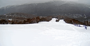 An empty High Noon in Thredbo today with a few tracks left by those who have been hiking this week.