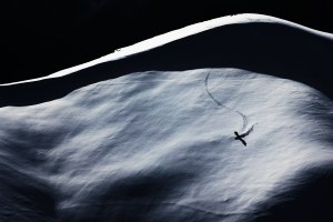 Drew Jolowizc dropping into the Hotham side country, late afternoon, Monday August 16. Photo: Dylan Robinson