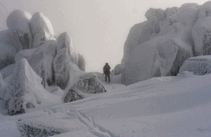 Gear Guide - Splitboards: The Boards to Take You Into The Backcountry