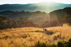Spectacular mountain biking in Mt Buller. Photo: Mt Buller
