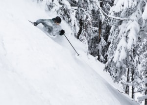 Watkin skis 4cm of overnight snowfall. Feels like 40cm