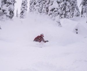 Epic powder in Whitewater, BC after 110cmsin the past week.@bradstakilo getting amongst it