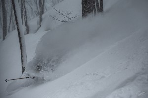 A deep powder day on Nozawa Onsen early last week. If only...Photo: Shogo Kawano /  西條聡