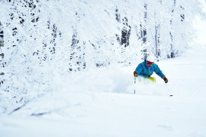 Tree skiing on a powder day at Nekoma resort