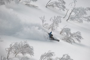 Evan Wilcox on a another Niseko powder day earlier in the week ... and there's more snow on the  way. Photo: Sea and Summit Media