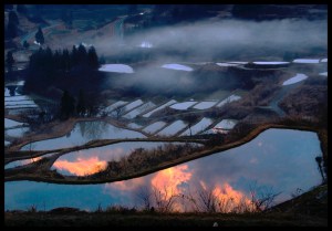 The Magic of Tohoku‘s Other Seasons - Travel
