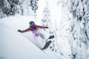 Michaela Davis-Meehan, making the most of her tim win between Freeride events , chasing pow near Revelstoke last week, Photo: Laura Szanto