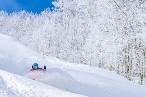 Aspen on a bluebird powder day is something you wil never forget. Photo: Jordan Curet