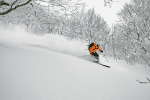 Backcountry skiing in the forest of Hakkoda
