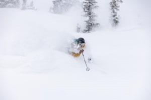 Kyle Toohey, revelling in some classic Utah powder in Alta this week. Photo: Isabelle La Motte