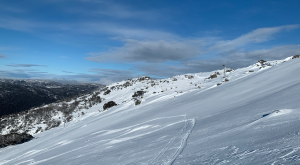 A  few fresh turns in Thredbo after 10cms above 1700m yesterday. 