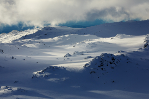 Light and Shadows. Photo: Aedan O'Donnell