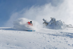Just a few snow flurries today, but the resorts are reporting 30cms of snow since yesterday morning. Tess Boler making th egos of the windblown stashed in Thredbo today. Photo: Thredbo