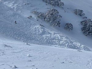 Avalanche debris at Mt Hotham. 