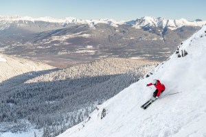 Marmots basin is now part of the Mountain Colectiver