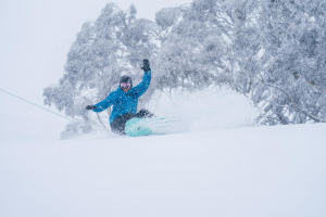 Spring pow turns in Hotham on the weekend where the storm dropped 60cms over three days. Photo: Chris Hocking