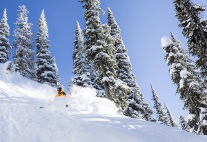 Coen Bennie-Faull, Revelstoke