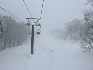 Freshies and a day for the trees at Hakuba 47 yesterday