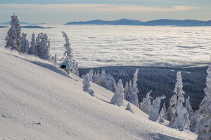 Cold temps and sunny days in Big White this week. Photo: Big White