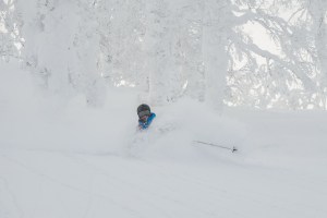 Estelle Ginies, getting her share of legendary Japanese powder in Rusutsu on Wednesday. Photo: Sea and Summit Media