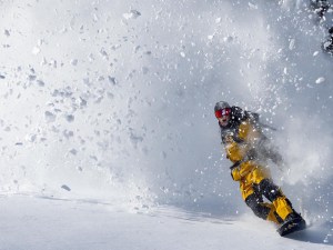 Standing tall during a break in the storms at Mammoth Mountain yesterday. Photo: Andrew Miller