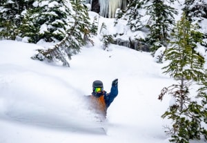 A powder day in Revelstoke BC on WEdeaday and there is mor pen the way next week. Photo: @hywelwilliamsphoto