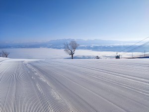Today in Furano - bluebird and corduroy. That will soon change with snow set for the weekend.