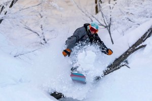 Pow time in Nozawa Onsen yesterday after 65cms overnight. Photo: Nozawa Onsen