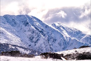 The view from Hotham on Friday after a quick stoprm dropped 15cms the previous night.