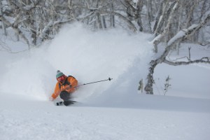 The backcountry options ar eendless and the resorts has gudied tours for all levels of experience.