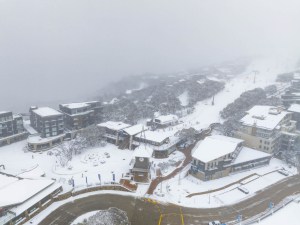 Mt Buller after the first round of snow on Sunday, June 18. Photo: Tony Harrington