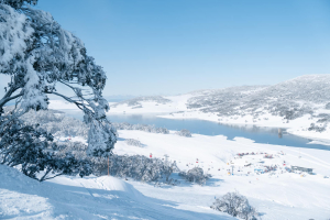 Pristine conditions inFalls Creek yesterday - it should look the same on Sunday. Photo: Falls Creek