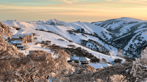 Tina Burford Named New General Manager Of Mount Hotham Skiing Company  