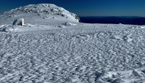 Not exactly ideal conditions in NSW backcountry this week. Photo: Mountain Safety Collective