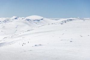 The Beyond the Boundaries Tour take you into the nearby Mainrange.