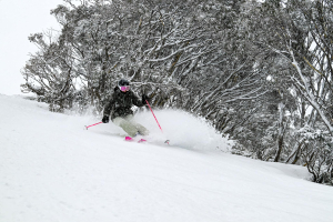 Fresh turns in Hotham yesterday after the strom dropped 10cms in three hours. Photo: Hotham Alpine resort