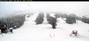 Snowing in Thredbo this morning, but it was clear inVictorian resorts. 