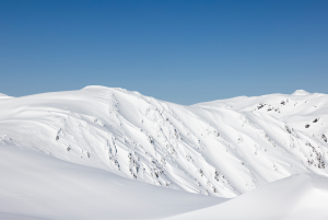 Big backcountry lines under 20cs of fresh snow.