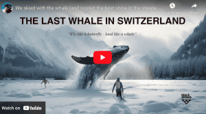 The Last Whale in Switzerland - Nikolai Schirmer and Friends Score The Best Snow and Steepest Lines. Video
