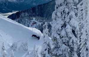 Dustin Broster finbdign the freshies in Fwernie two days ago. Photo @wilson1977